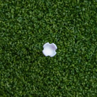 Longridge Extra Long Plastic Tee 75mm (10 pezzi)