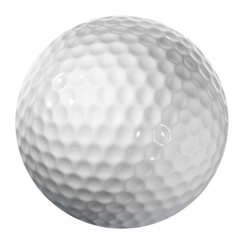 Longridge Blank 2-Piece palline da golf