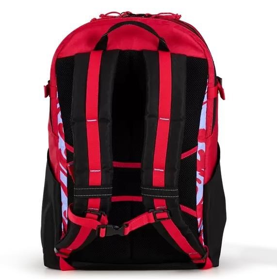 Ogio Alpha 20L backpack melting geos borsa