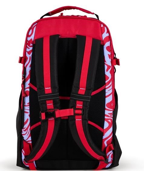 Ogio Alpha 25L Backpack borsa
