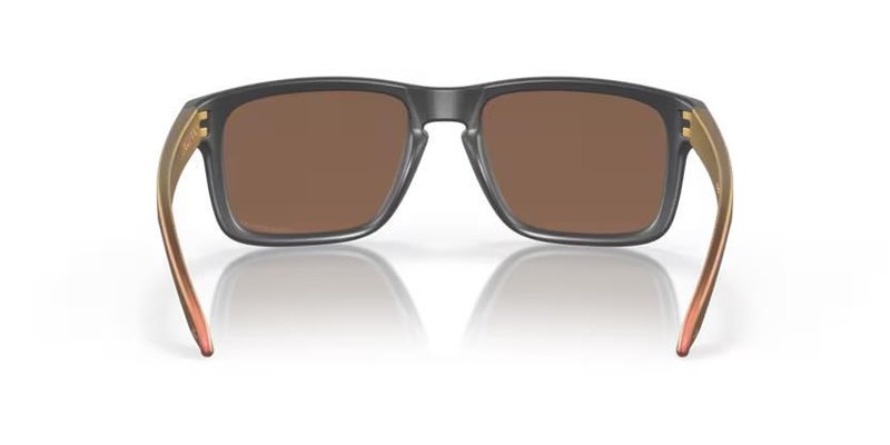 Oakley Holbrook Steel Colection Matte Carbon Prizm 24K Polarized occhiali da sole