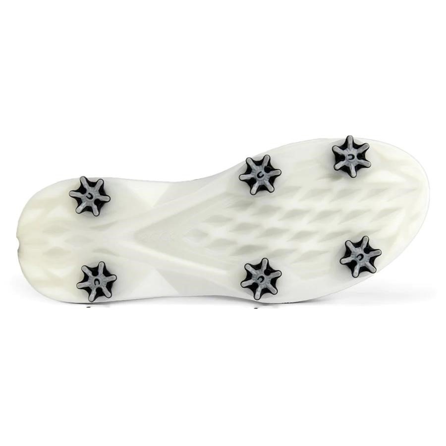 Ecco Ecco Biom G5 BOA scarpe da golf uomo, grigie