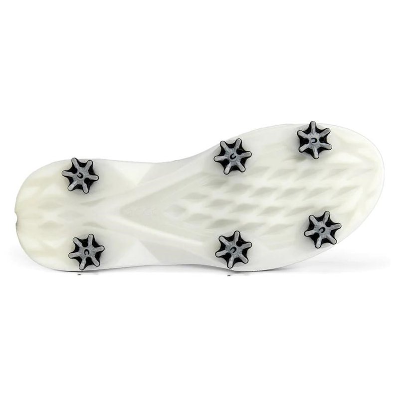 Ecco Ecco Biom G5 BOA scarpe da golf uomo, grigie