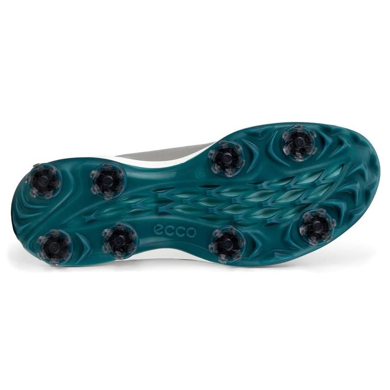 Ecco Biom Tour scarpe da golf uomo, grigie
