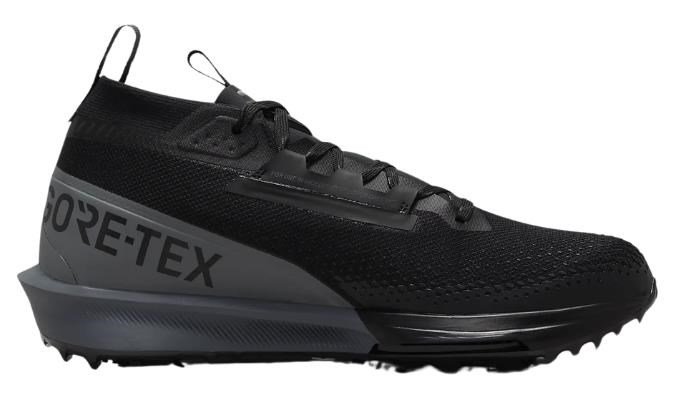 Nike Nike Infinity Tour 2 Gore-Tex scarpe da golf uomo, nere