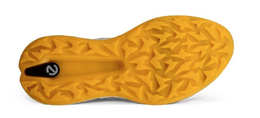 Ecco Biom H5 scarpe da golf uomo, grigie