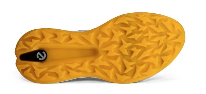 Ecco Biom H5 scarpe da golf uomo, grigie
