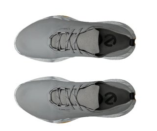 Ecco Biom H5 scarpe da golf uomo, grigie
