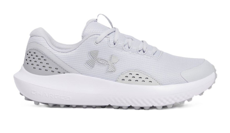Under Armour Surge Golf scarpe da golf uomo, grigie