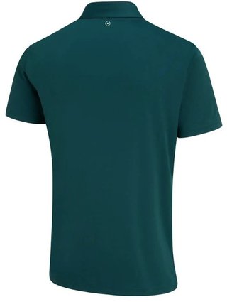 PING Hall polo da uomo, verde foresta/verde nebbioso