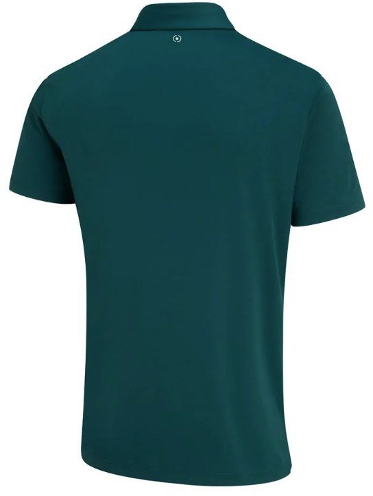 PING Hall polo da uomo, verde foresta/verde nebbioso