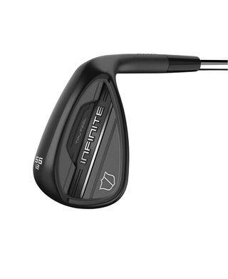 Wilson Infinite wedge da uomo, acciaio