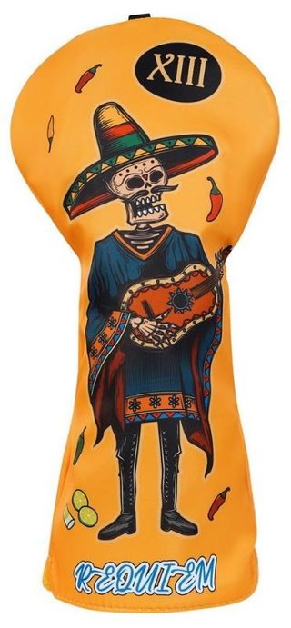 Ostatní MEX Guitar Driver cover