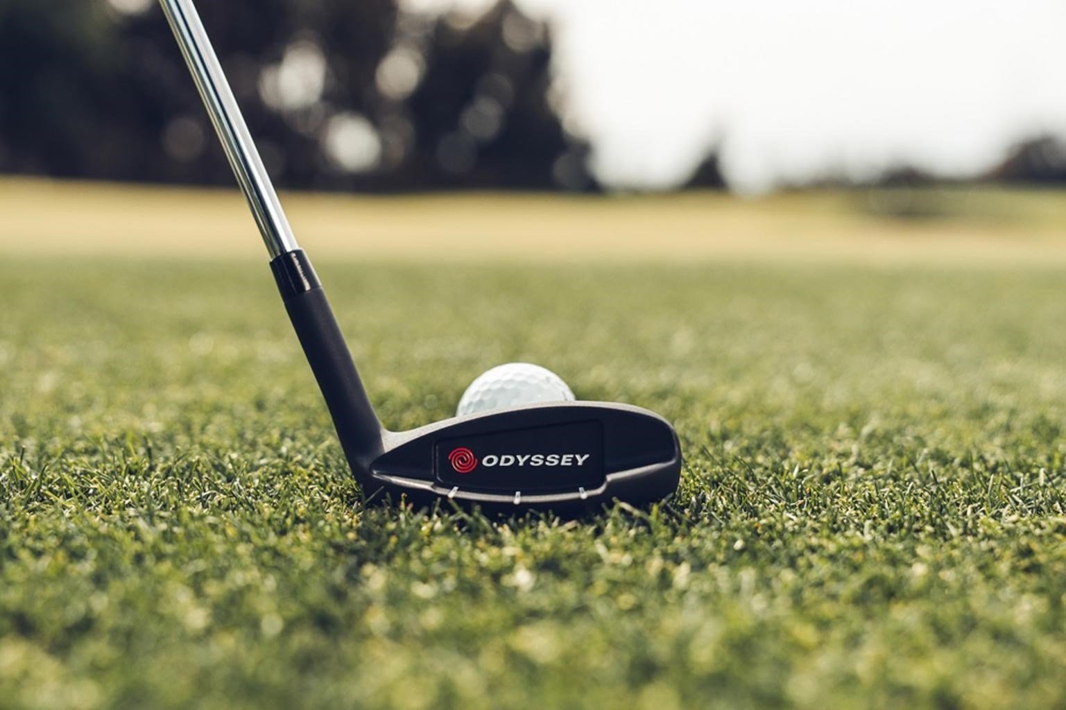 Odyssey Chipper 2025 wedge, acciaio, 34.5"