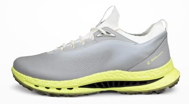 Ecco Biom C5 scarpe da golf uomo, grigie