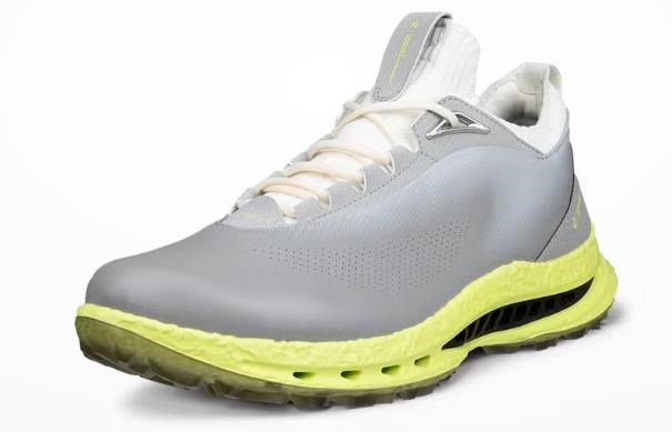 Ecco Biom C5 scarpe da golf uomo, grigie