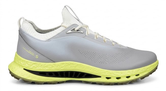 Ecco Biom C5 scarpe da golf uomo, grigie