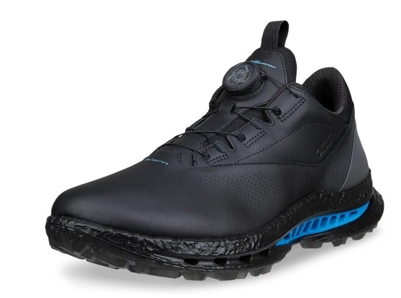 Ecco Biom C5 BOA scarpe da golf uomo, nere