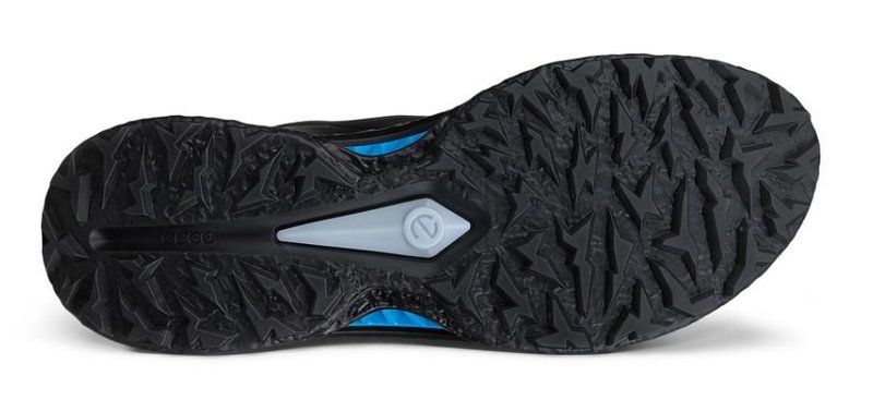 Ecco Biom C5 BOA scarpe da golf uomo, nere