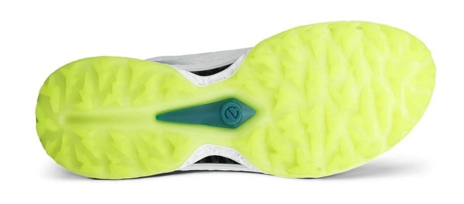Ecco Biom C5 BOA scarpe da golf uomo, bianche