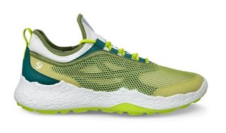 Ecco Ecco Biom H5 golf shoes da uomo, verdi