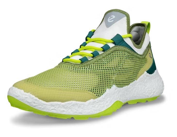 Ecco Ecco Biom H5 golf shoes da uomo, verdi