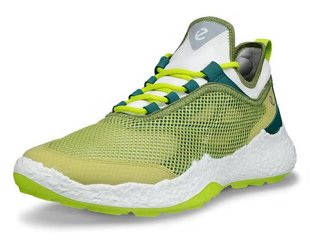 Ecco Ecco Biom H5 golf shoes da uomo, verdi