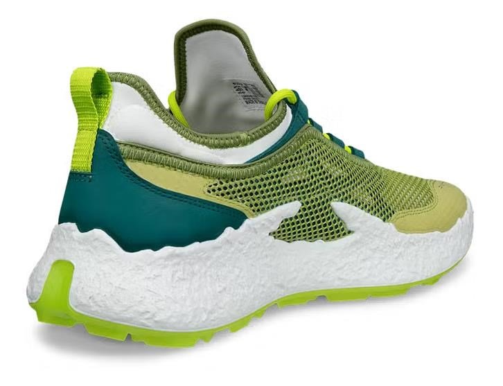 Ecco Ecco Biom H5 golf shoes da uomo, verdi