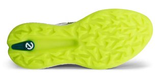 Ecco Ecco Biom H5 golf shoes da uomo, verdi