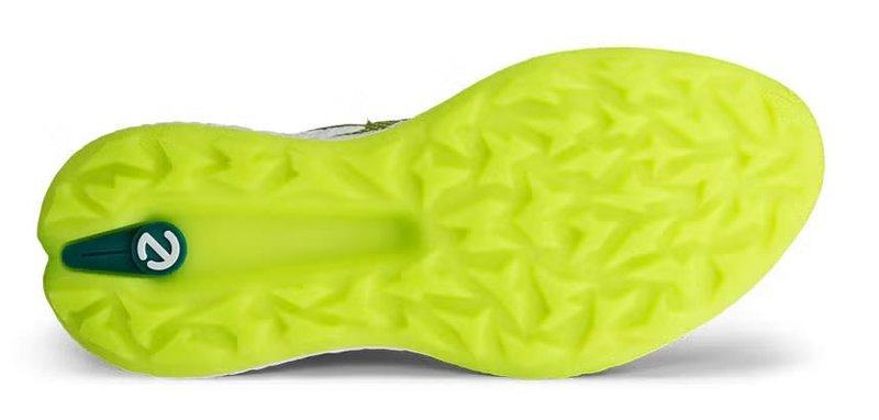 Ecco Ecco Biom H5 golf shoes da uomo, verdi
