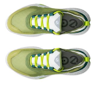 Ecco Ecco Biom H5 golf shoes da uomo, verdi