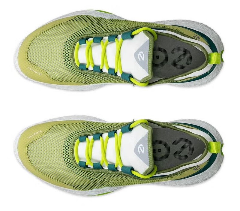 Ecco Ecco Biom H5 golf shoes da uomo, verdi