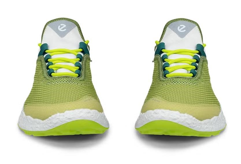 Ecco Ecco Biom H5 golf shoes da uomo, verdi