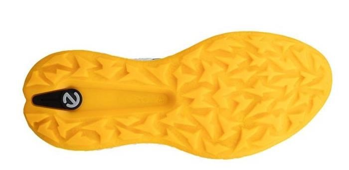 Ecco Biom H5 scarpe da golf uomo, wild dove