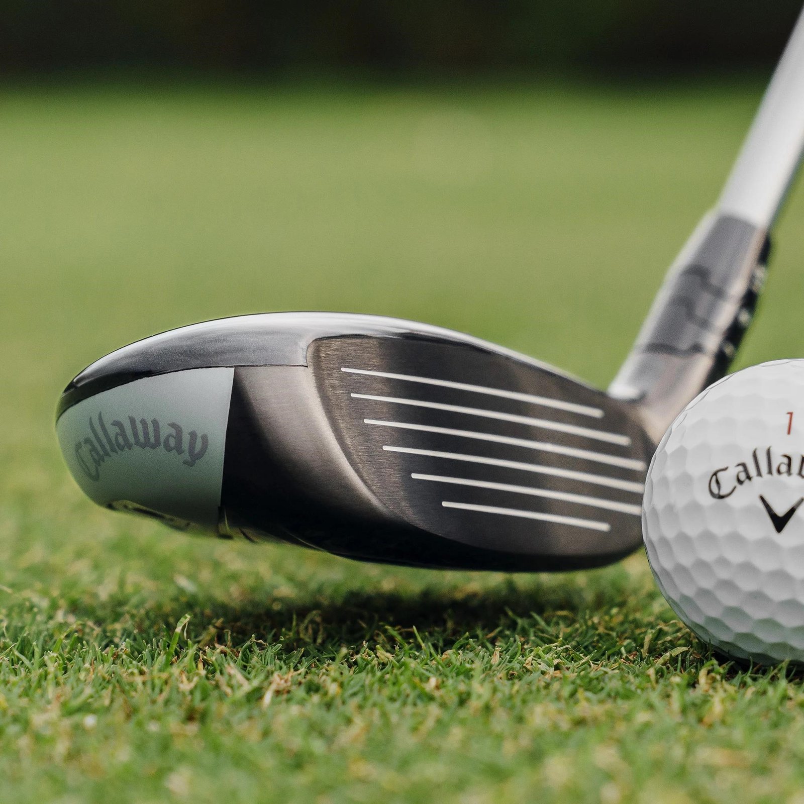Callaway Quantum Max ibrido