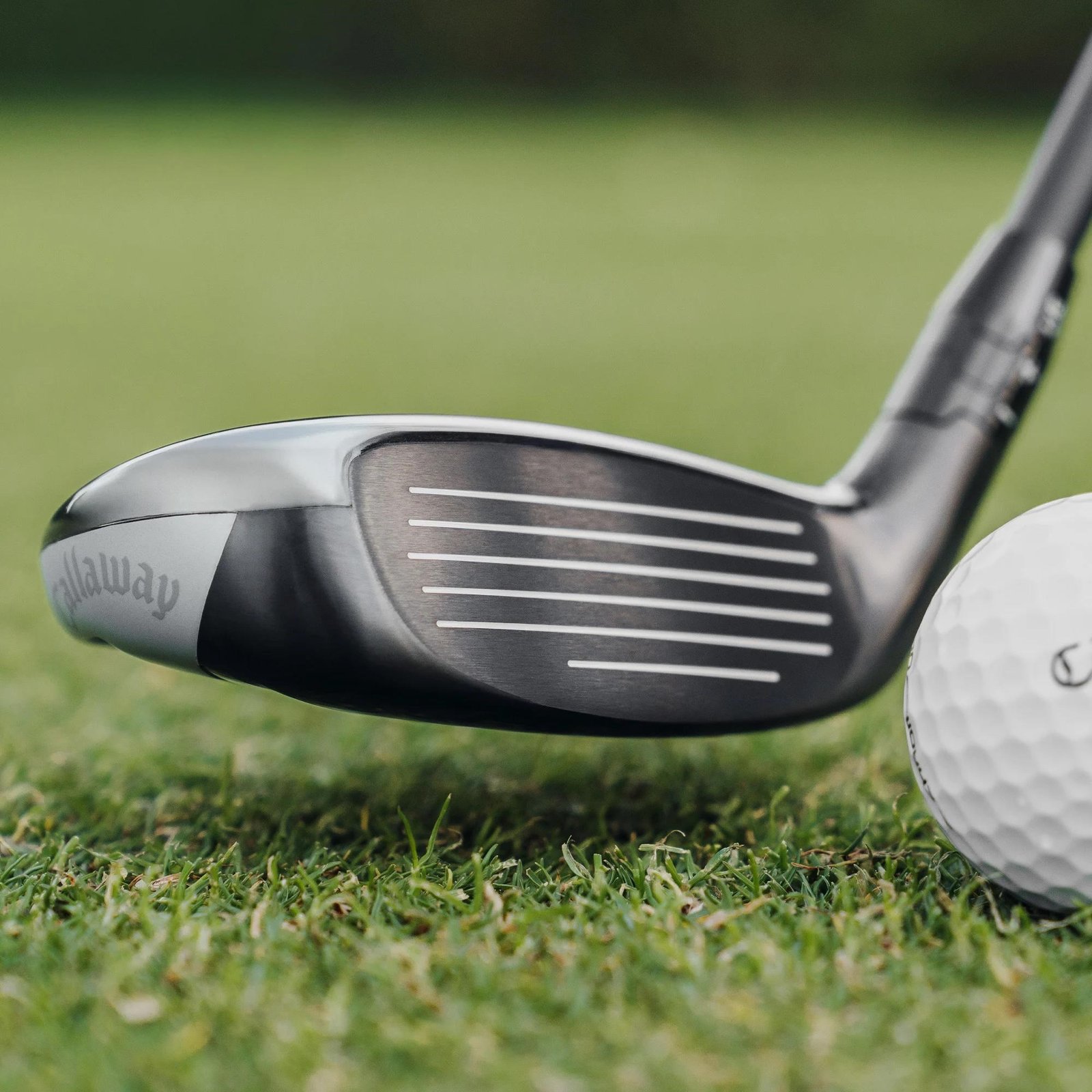 Callaway Quantum Max Fast hybrid