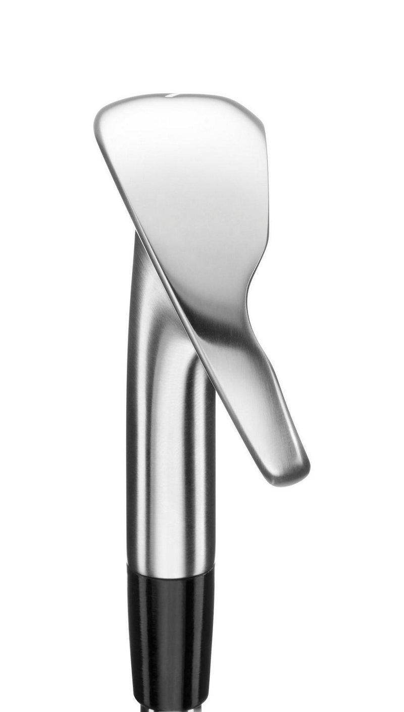 Mizuno Pro M-15 ferri da golf (acciaio)