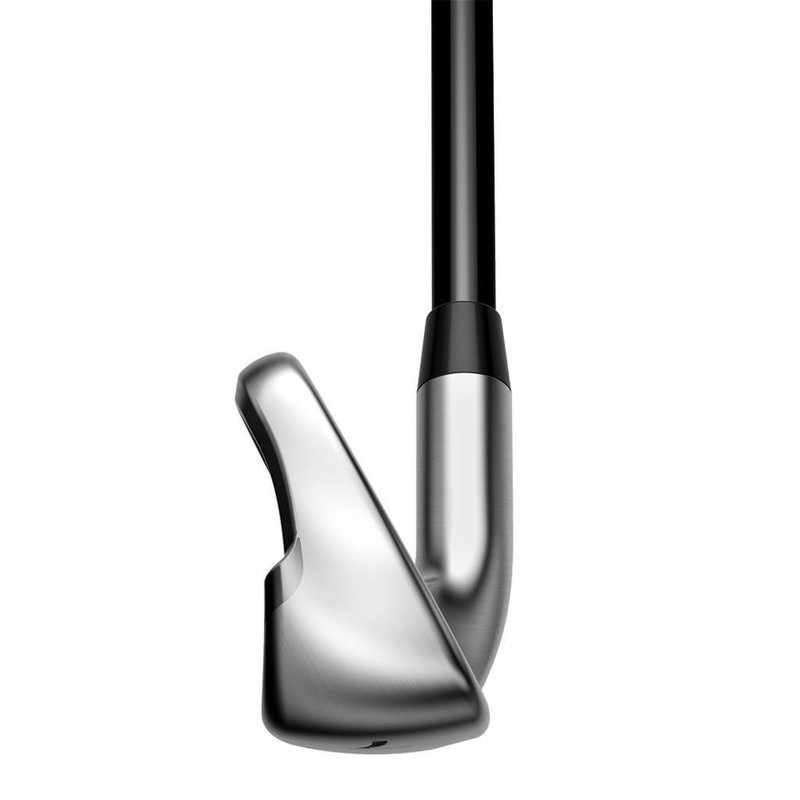 Cobra Golf Cobra KING MAX ladies ferri, grafite
