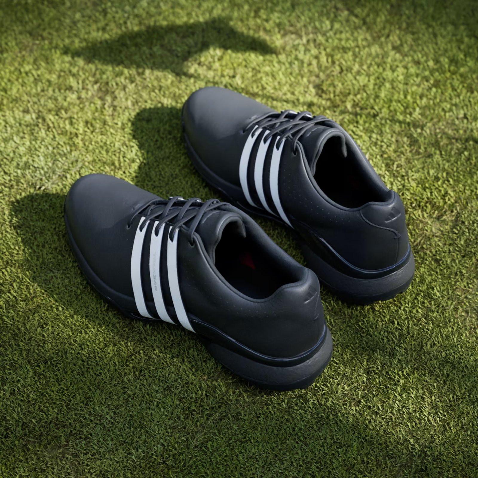 Adidas Tour360 24 scarpe da golf da uomo, nero