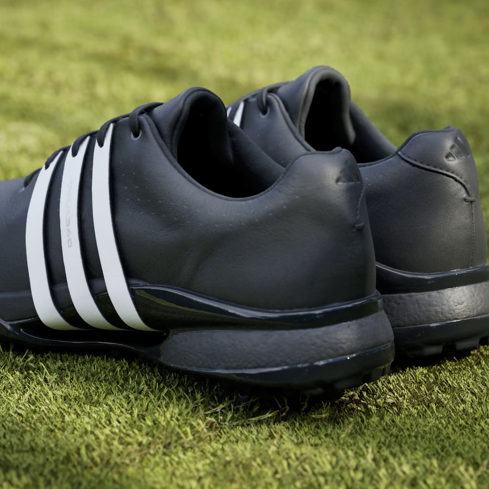 Adidas Tour360 24 scarpe da golf da uomo, nero
