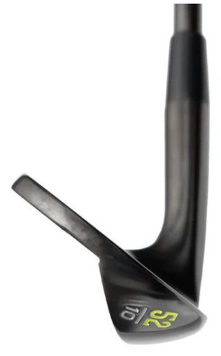 HEAD Golf Forged wedge, acciaio