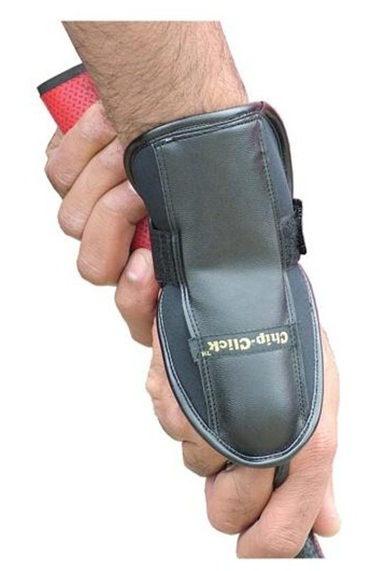 Longridge Chip Click Training Aid