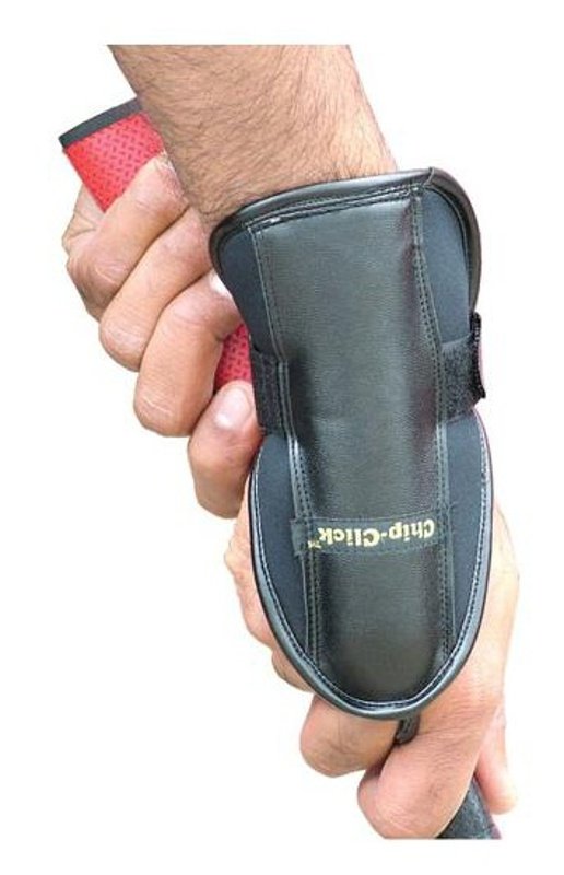 Longridge Chip Click Training Aid