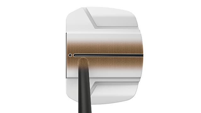 Illustrazione della linea di mira del sistema di allineamento PING Scottsdale TEC Eye Q