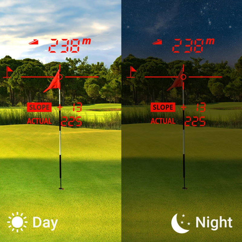Display OLED Voice Caddie L6